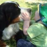 Sonu Mauritian Food Restaurant